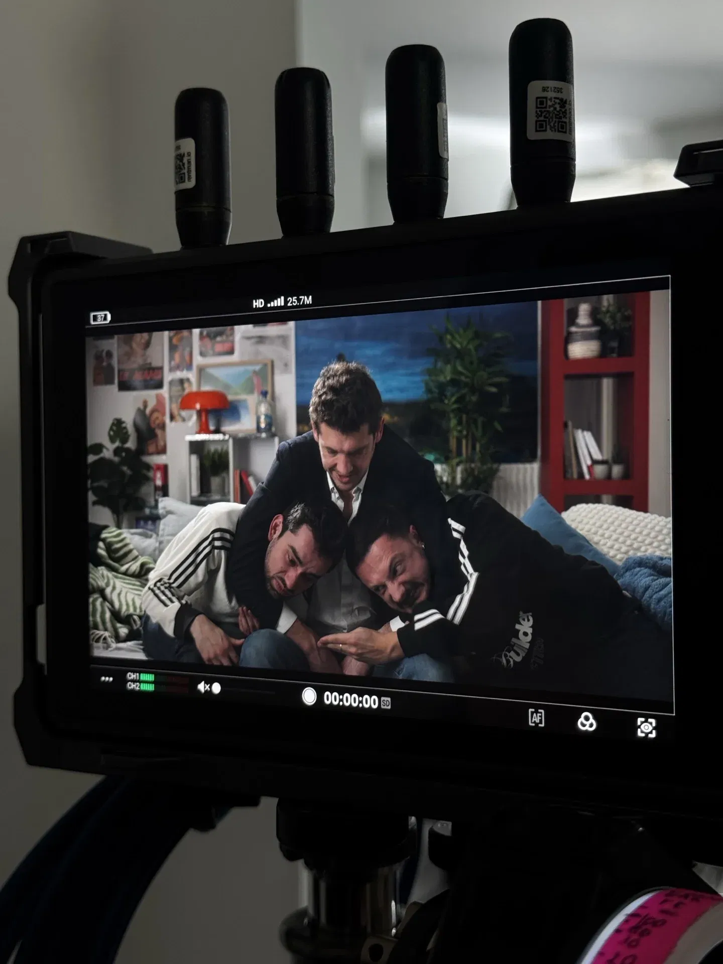 Coulisses Troubadours